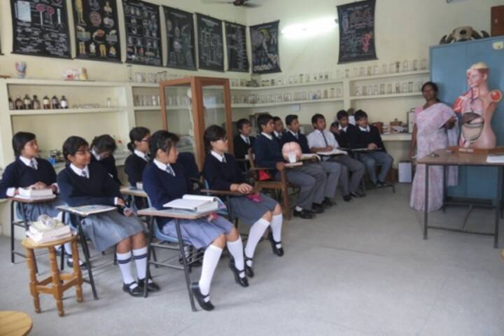 Smt Shanti Chauhan Smarak Degree College campus in Moradabad, Uttar Pradesh, India — photo 5