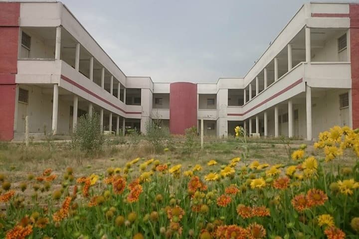 University College campus in Barnala, Punjab, India — photo 1