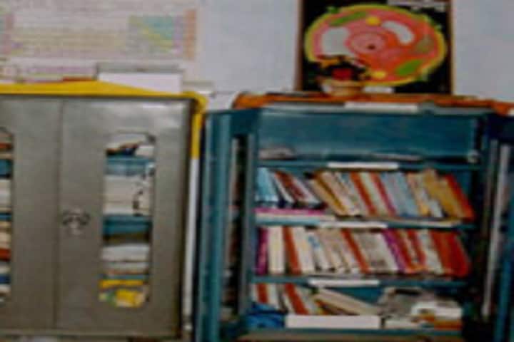 Pandit Ambika Pratap Narayan Higher Education Degree College campus in Sant Kabir Nagar, Uttar Pradesh, India — photo 3