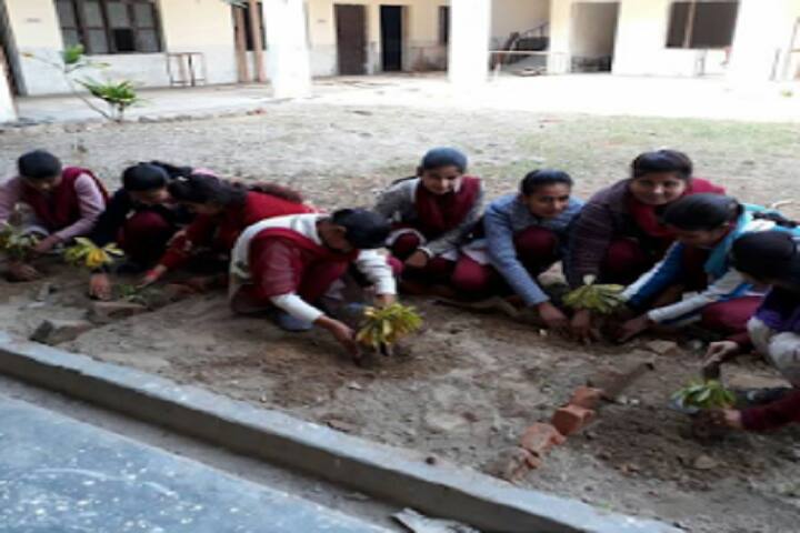 Vishal Kanya Degree College campus in Bareilly, Uttar Pradesh, India — photo 5