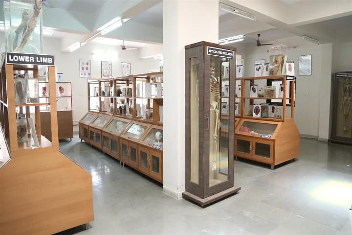 Parul Institute of Medical Sciences and Research campus in Waghodia, Gujarat, India — photo 6