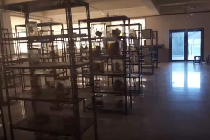 Shri MP Shah Government Medical College campus in Jamnagar, Gujarat, India — photo 2
