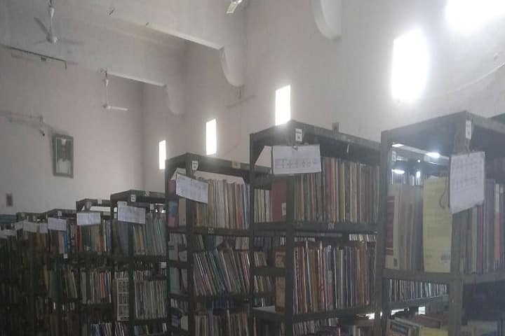 Seth Mathuradas Binani Government PG College campus in Nathdwara, Rajasthan, India — photo 3