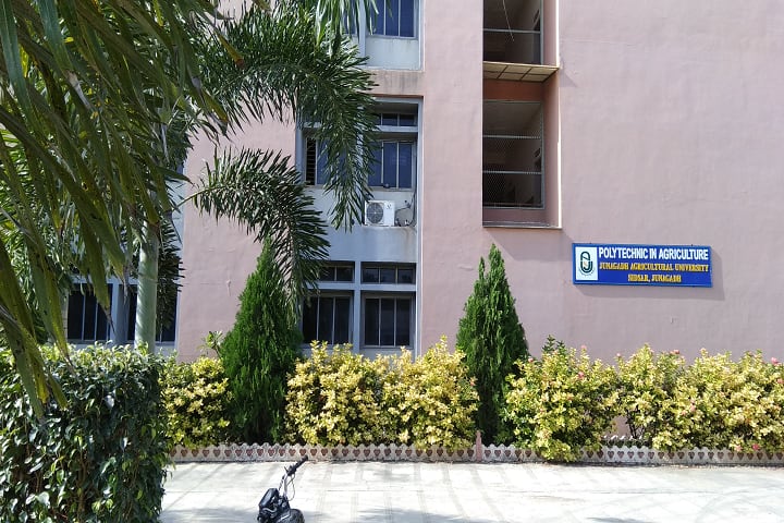 Polytechnic in Agriculture campus in Junagadh, Gujarat, India — photo 1