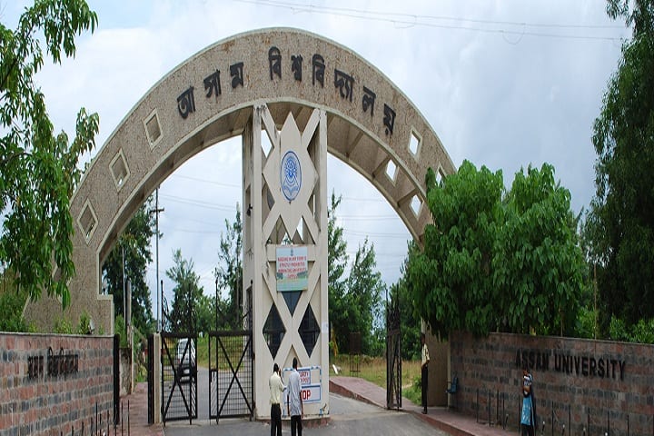 Rabindranath Tagore School of Languages and Cultural Studies campus in Silchar, Assam, India — photo 1