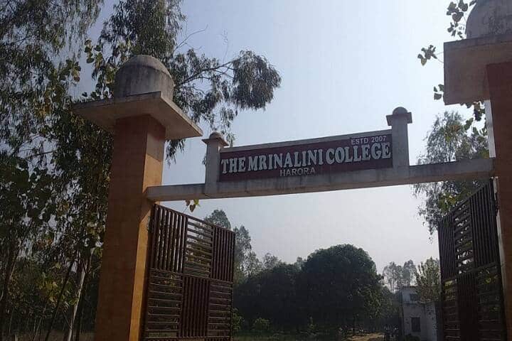 The Mrinalini College campus in Saharanpur, Uttar Pradesh, India — photo 2
