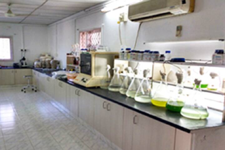 Shri AMM Murugappa Chettiar Research Centre campus in Chennai, Tamil Nadu, India — photo 3
