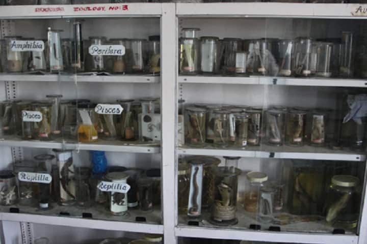 DRNSCVS Degree College campus in Chilakaluripet, Andhra Pradesh, India — photo 5