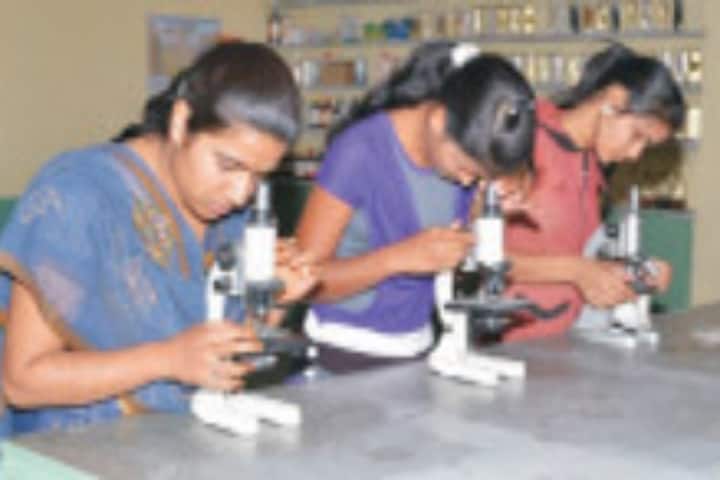 Shri Nawalgarh Girls College campus in Nawalgarh, Rajasthan, India — photo 3