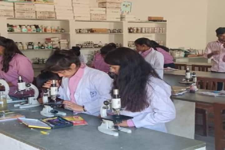 Swami Vivekanand Mahavidyalaya campus in Jobner, Rajasthan, India — photo 4