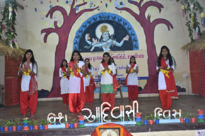 Birsa Munda Tribal University campus in Narmada, Gujarat, India — photo 3