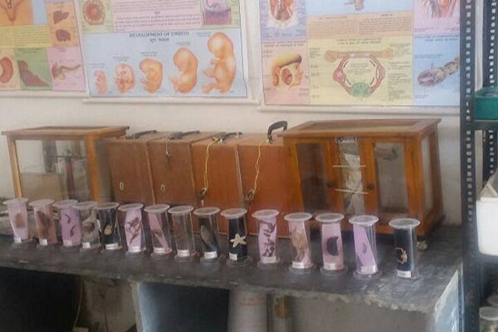 Mahakoshal College of Science and Arts campus in Bhondi Mal, Madhya Pradesh, India — photo 4
