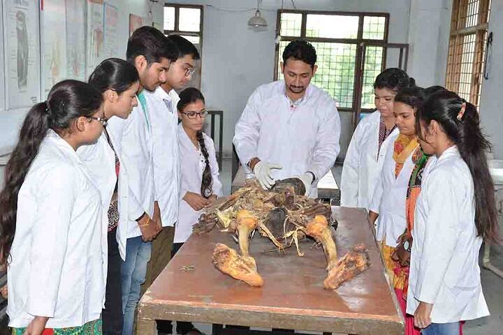 Shree Lakshmi Narayan Ayurvedic College campus in Amritsar, Punjab, India — photo 6