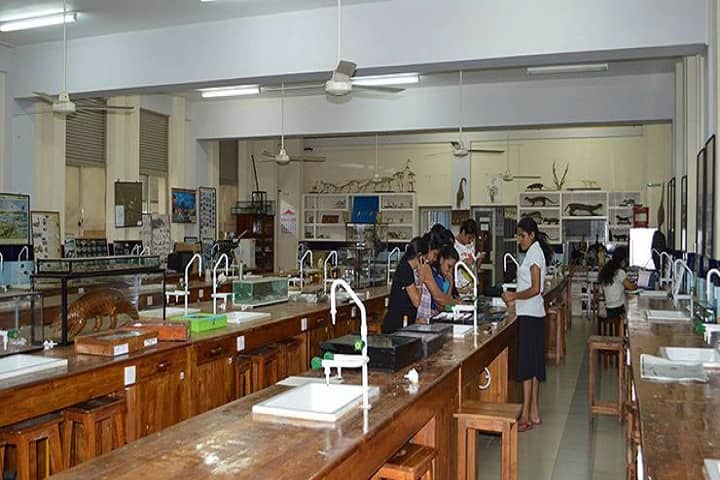 Veerangna Awanti Bai College campus in Chhatarpur, Madhya Pradesh, India — photo 5