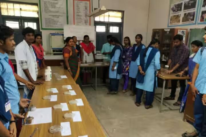 PVKN Government College campus in Chittoor, Andhra Pradesh, India — photo 6