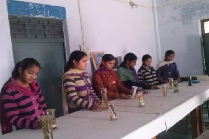 Jain College campus in Bhind, Madhya Pradesh, India — photo 4