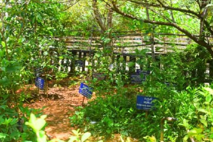 Dharma Ayurveda Medical College and Hospital campus in Sriperumbudur, Tamil Nadu, India — photo 6