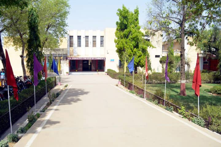 MK Saboo PG College of Commerce campus in Jhunjhunu, Rajasthan, India — photo 2
