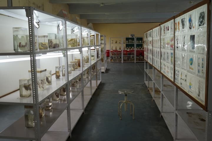 Ujjain Institute of Paramedical Sciences and Ujjain College of Physiotherapy campus in Surasa, Madhya Pradesh, India — photo 6