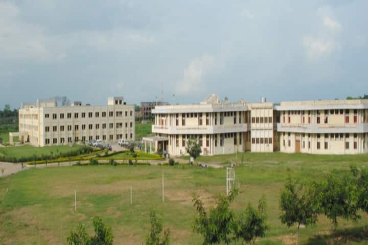 Jaypee College of Education campus in Rewa, Madhya Pradesh, India — photo 1