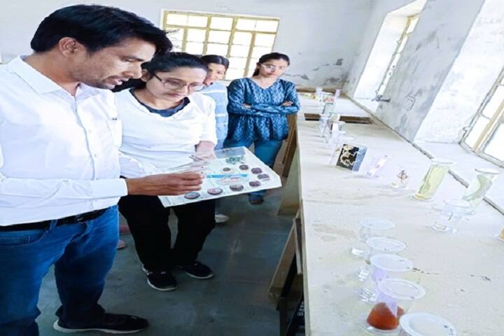 Shri Mishri Lal Sanwal Government PG Girls College campus in Jaisalmer, Rajasthan, India — photo 6