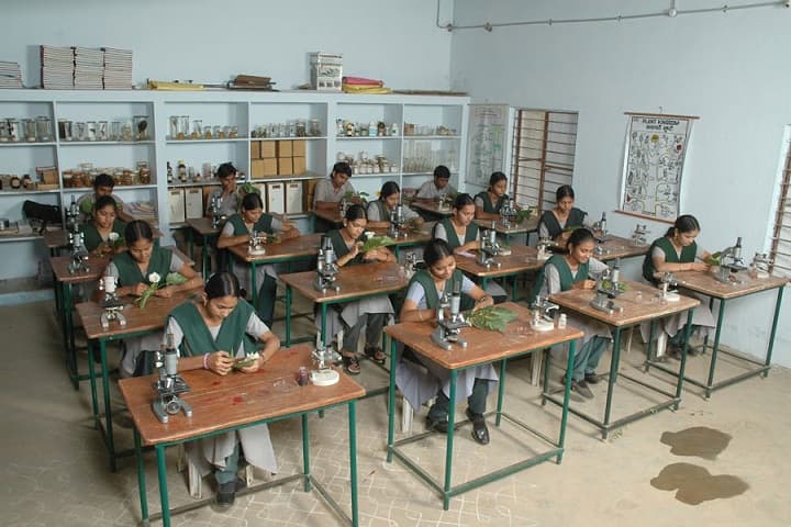 Minerva Educational Institutions campus in Prathipadu, Andhra Pradesh, India — photo 5