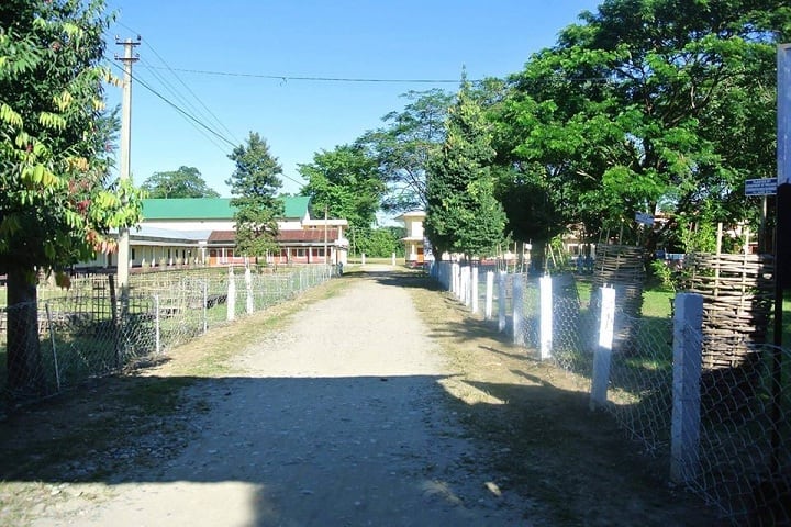 Silapathar College campus in Dhemaji, Assam, India — photo 1