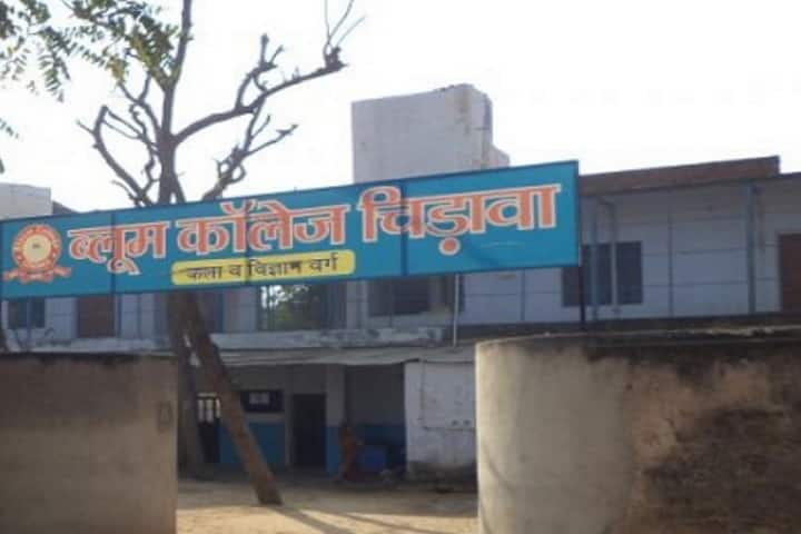 Bloom College campus in Chirawa, Rajasthan, India — photo 1