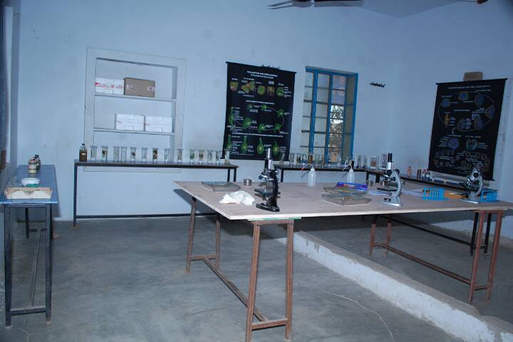 Bloom College campus in Chirawa, Rajasthan, India — photo 6