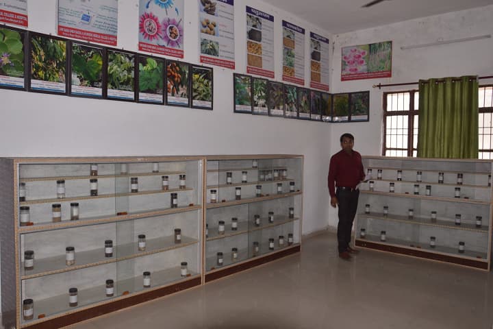 Institute of Ayurveda Major SD Singh University campus in Farrukhabad, Uttar Pradesh, India — photo 5