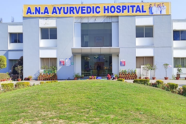 ANA Ayurvedic Medical College and Hospital campus in Bareilly, Uttar Pradesh, India — photo 1