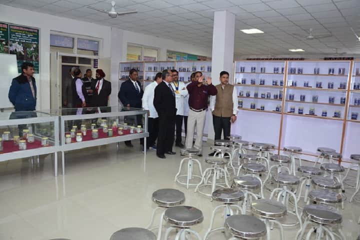 Kunwar Shekhar Vijendra Ayurved Medical College and Research Centre campus in Saharanpur, Uttar Pradesh, India — photo 4