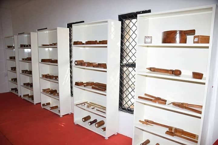 Shri Kallaji Vedic Vishvavidyalaya campus in Chittorgarh, Rajasthan, India — photo 2