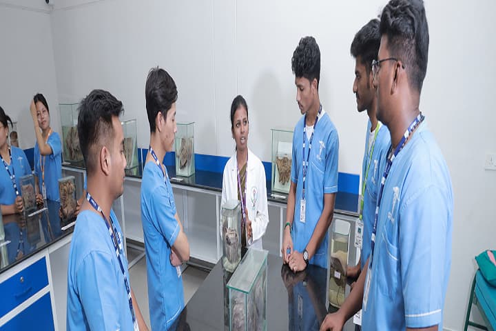 S Thangapazham Medical College of Naturopathy and Yogic Science Research Centre campus in Tenkasi, Tamil Nadu, India — photo 3