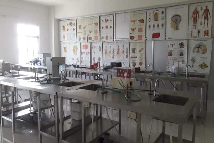 Apex Institute of Ayurvedic Medicine and Hospital campus in Mirzapur, Uttar Pradesh, India — photo 4