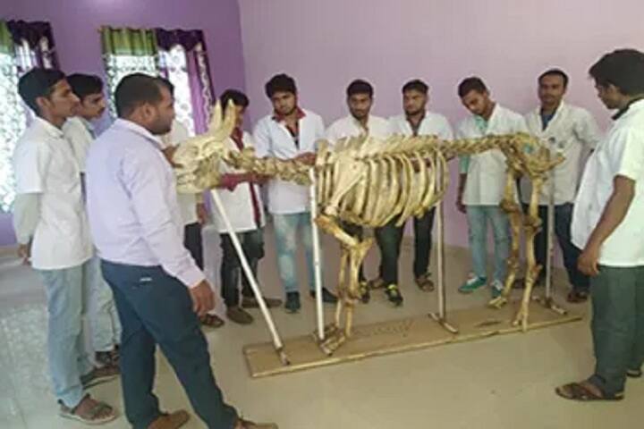 Ideal Veterinary College campus in Singhani, Haryana, India — photo 5