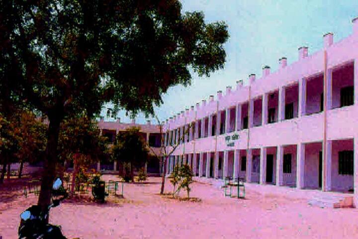 Satguru College campus in Nagaur, Rajasthan, India — photo 1