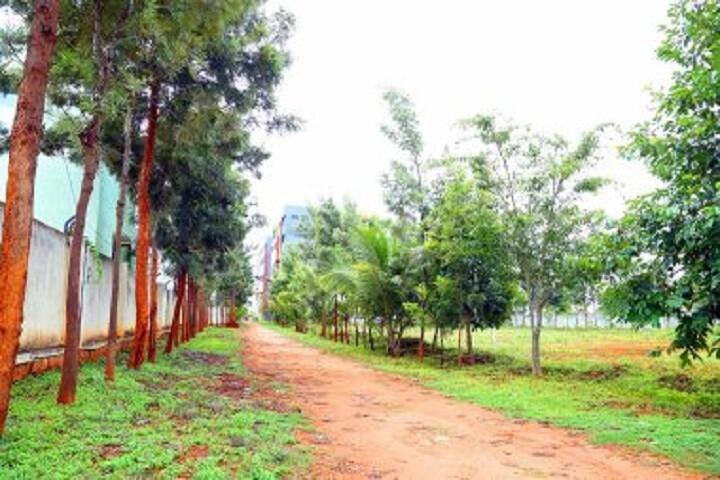 Varadaraja Institute of Allied Health and Paramedical Sciences campus in Tumkur, Karnataka, India — photo 5