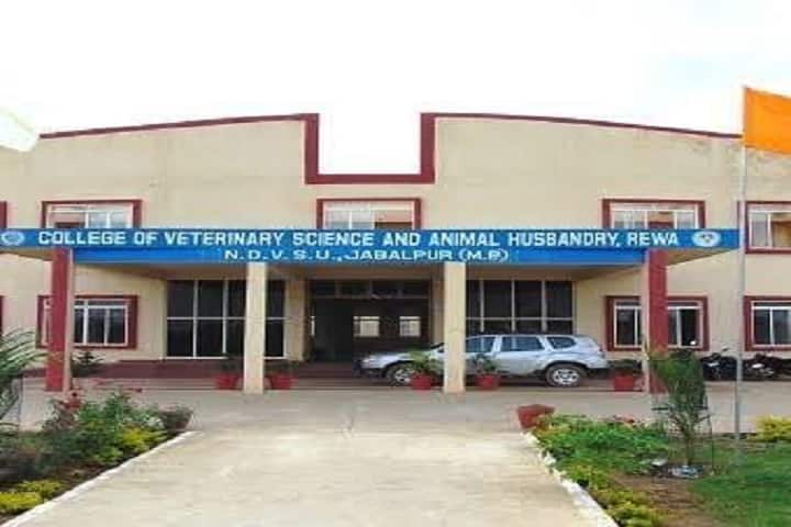 College of Veterinary Science and Animal Husbandry campus in Rewa, Madhya Pradesh, India — photo 1