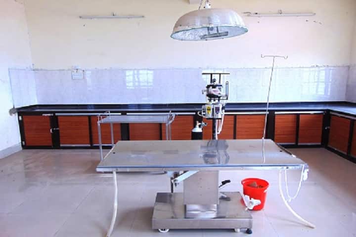 College of Veterinary Science and Animal Husbandry campus in Rewa, Madhya Pradesh, India — photo 4