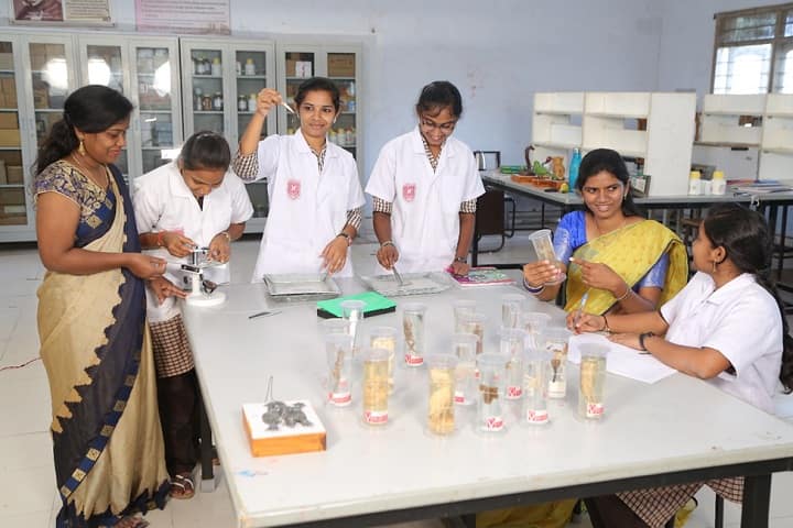 Telangana Social Welfare Residential Degree College for Women campus in Khammam, Telangana, India — photo 6