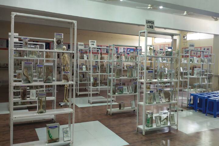 Amaltas Institute of Homoeopathy campus in Dewas, Madhya Pradesh, India — photo 2