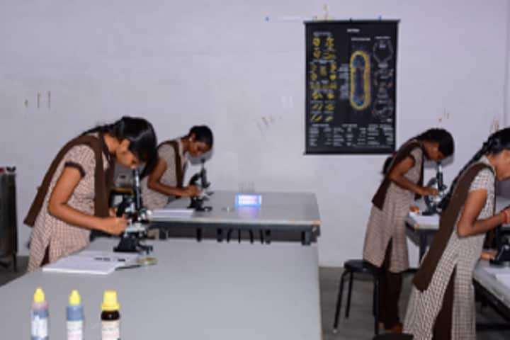 Telangana Social Welfare Residential Degree College For Women campus in Wanaparthy, Telangana, India — photo 3