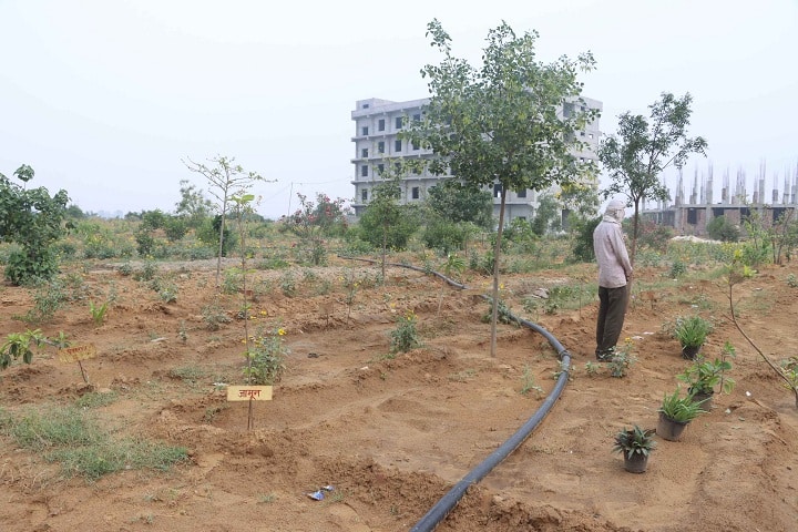 BDM College of Ayurveda Science and Hospital campus in Jhajjar, Haryana, India — photo 2