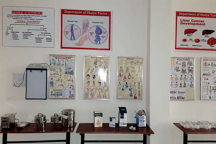 BDM College of Ayurveda Science and Hospital campus in Jhajjar, Haryana, India — photo 3