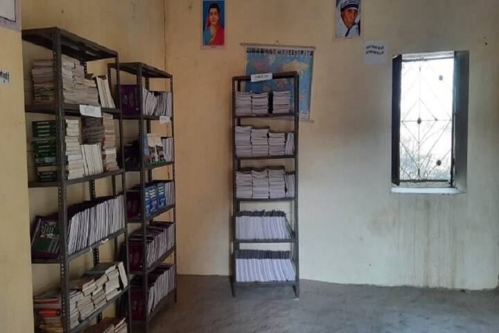 Shri Nagaji Mahavidyalaya campus in Nagaur, Rajasthan, India — photo 2