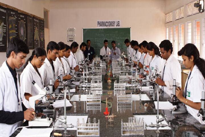 Saint Soldier College of Pharmacy campus in Tonk, Rajasthan, India — photo 4