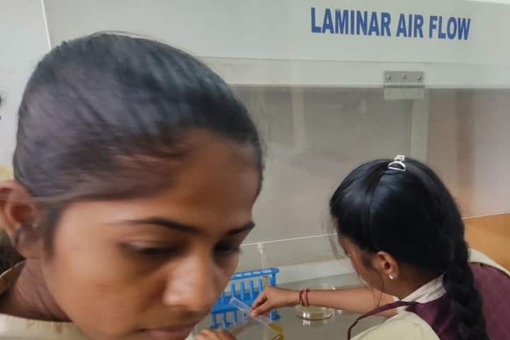 Telangana Social Welfare Residential Degree College for Women campus in Mancherial, Telangana, India — photo 6