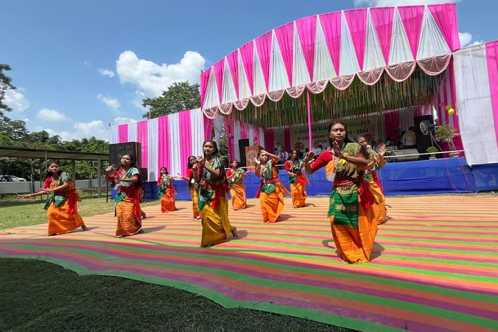 Dakshin Bijni Degree College campus in Baksa, Assam, India — photo 3