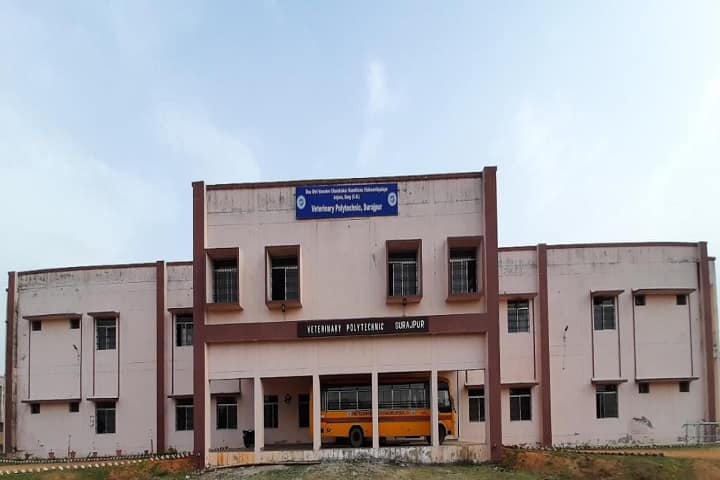 Veterinary Polytechnic campus in Surajpur, Chhattisgarh, India — photo 1